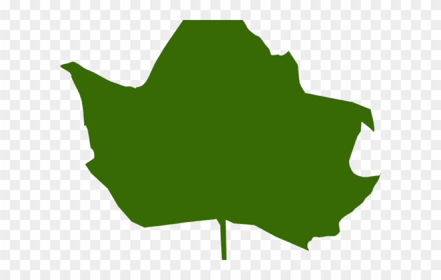 Green Leaves Clipart Vector - Png Download