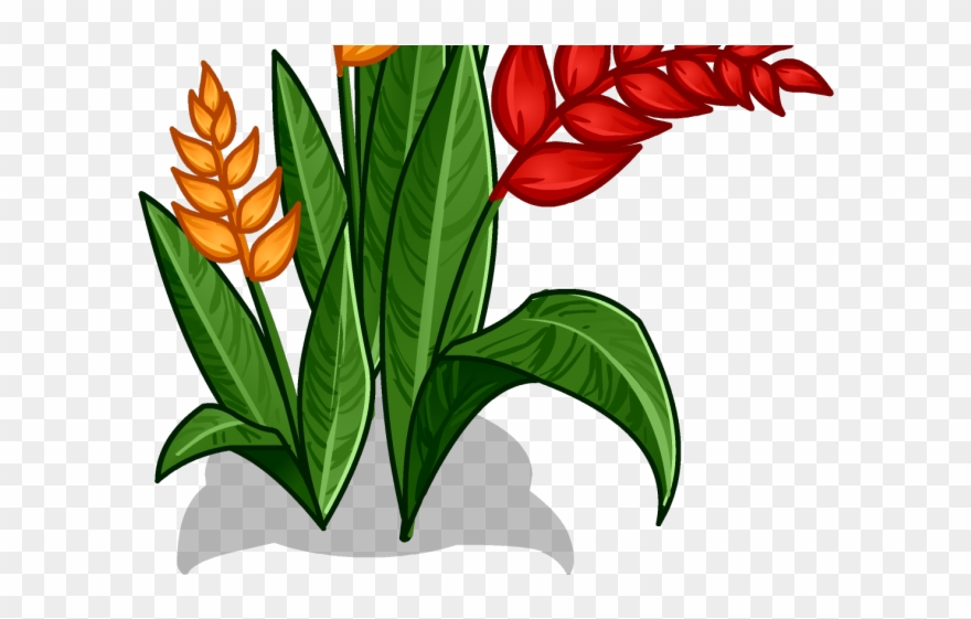 Red Flower Clipart Jungle Flower - Png Download