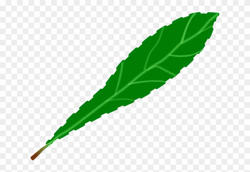 Drawing Leaf Computer Icons Green Watercolor Painting Clipart