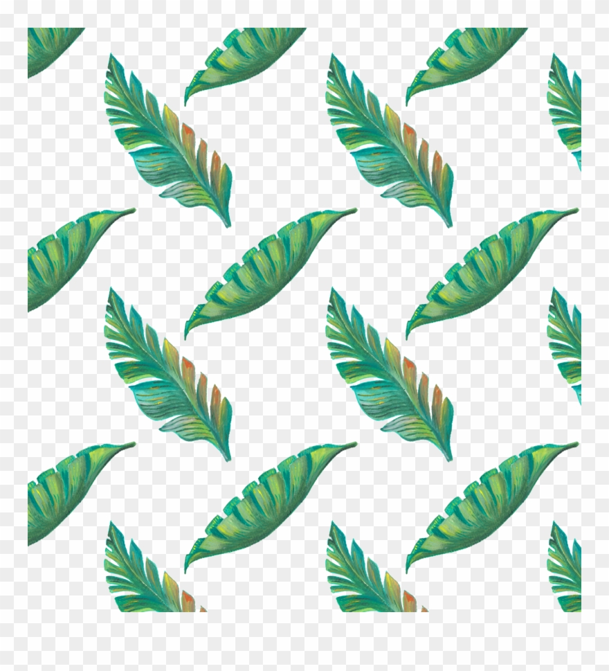 Leaf Tropics Drawing Hand Clipart