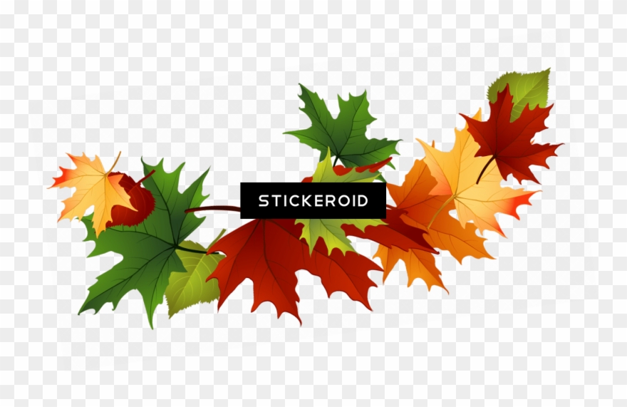 Maple Leaf Garland Clipart