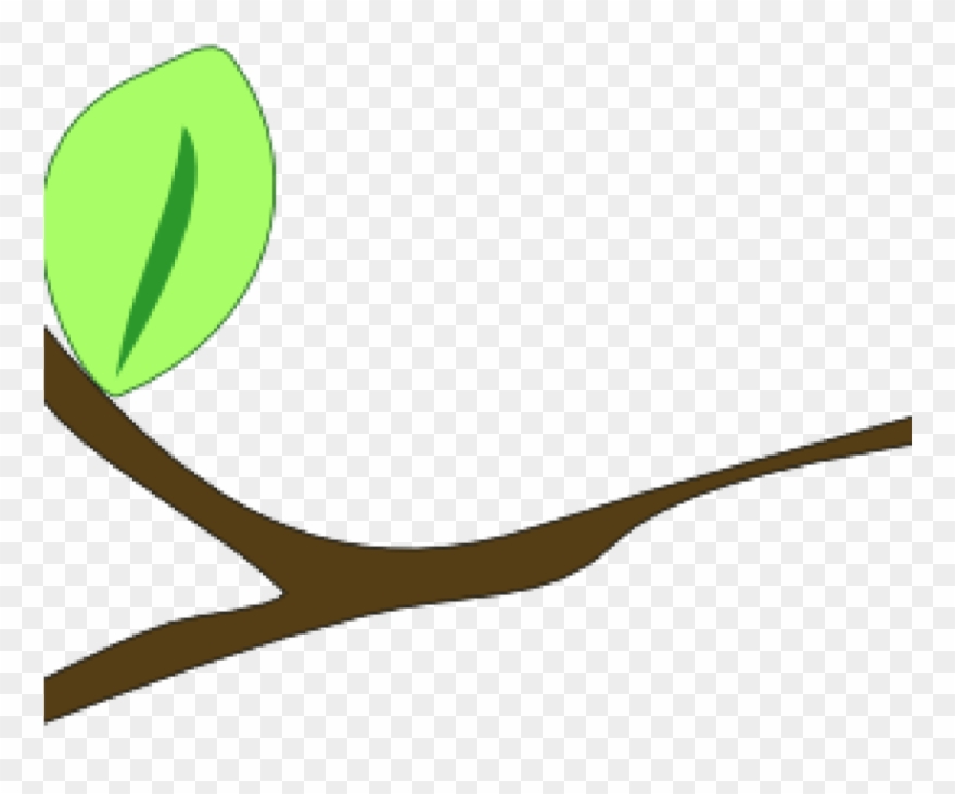 Branch Clipart Branch Clip Art At Clker Vector Clip - Png Download
