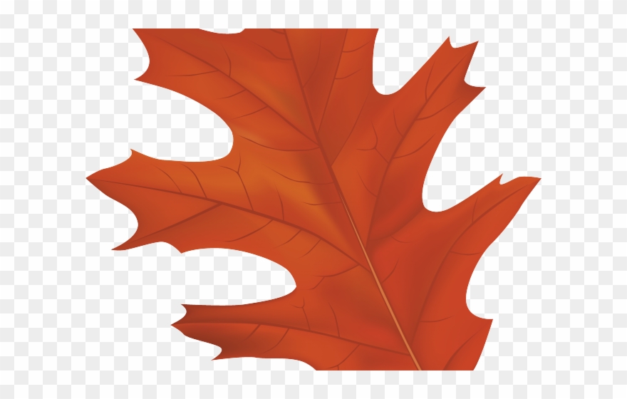 Autumn Leaves Clipart Tree - Png Download