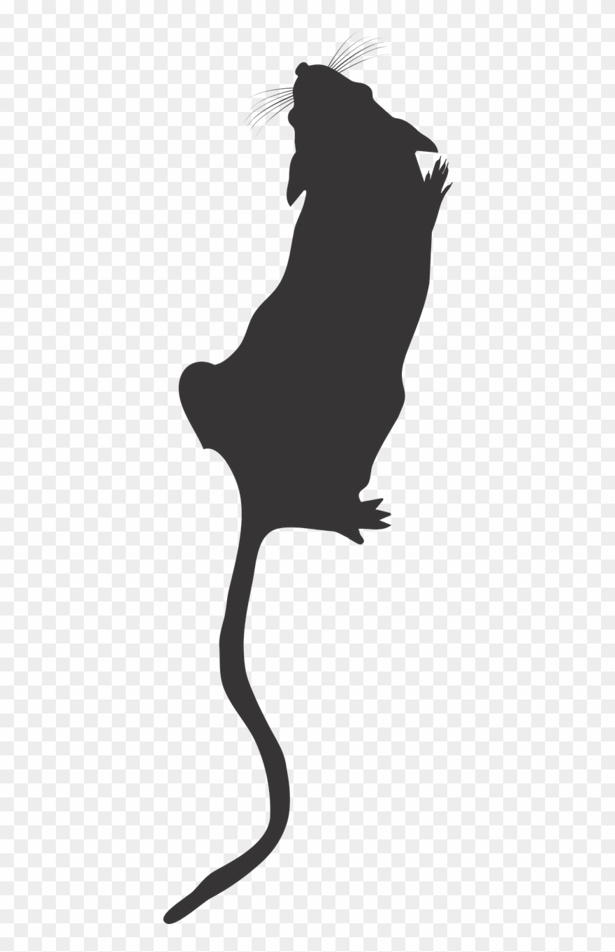 Lab Mouse Top View Mouse Silhouette Lab Mouse Icon Clipart