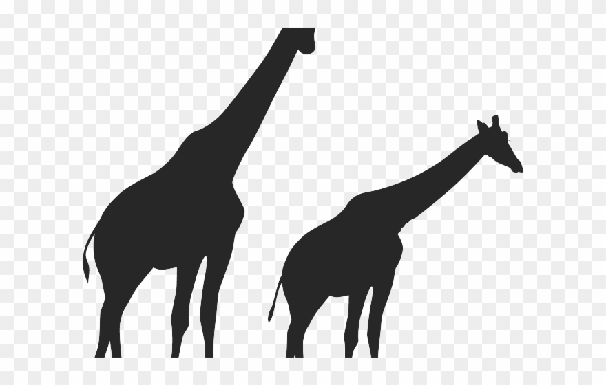 Africa Clipart Giraffe - Png Download