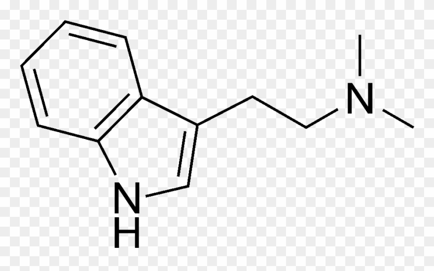 Dmt Vs Psilocin 4 Ho Dmt The Psychedelic Experience Clipart