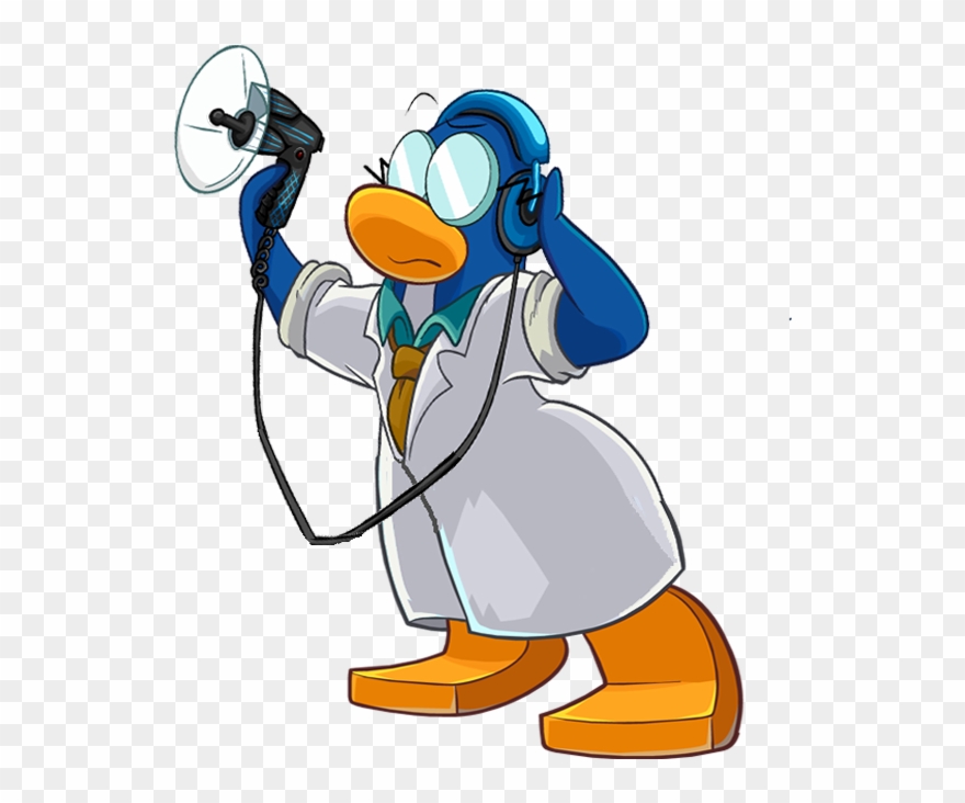 Duck , Png Download Clipart