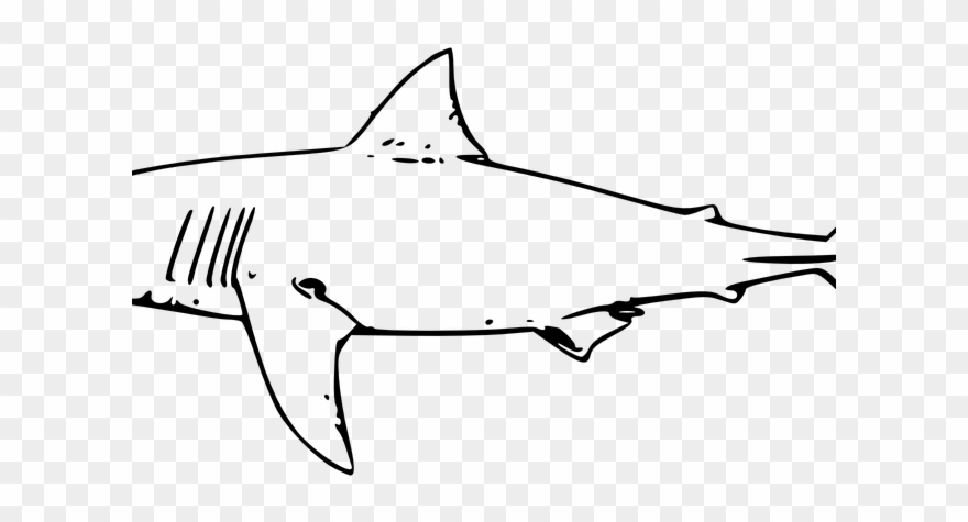 Great White Shark Clipart Pink - Png Download