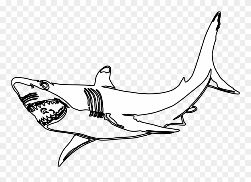 Clipart Of Great, Shark The And Shark Of - Png Download