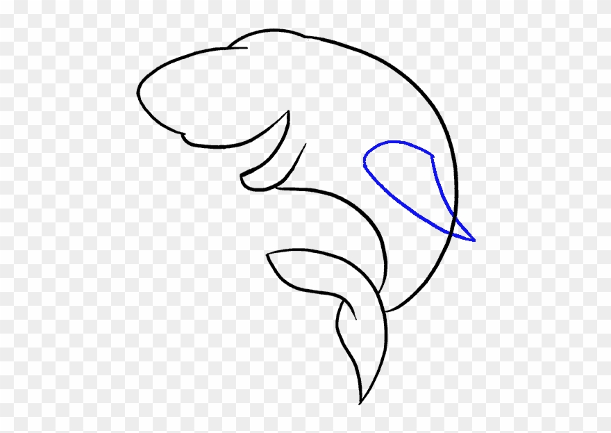 How To Draw A Easy Step By Clipart