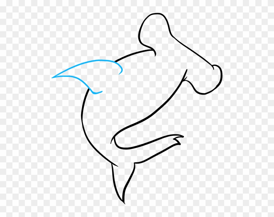 How To Draw Hammerhead Shark Clipart