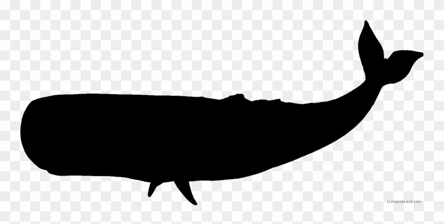 Silhouette Clipart Whale - Png Download