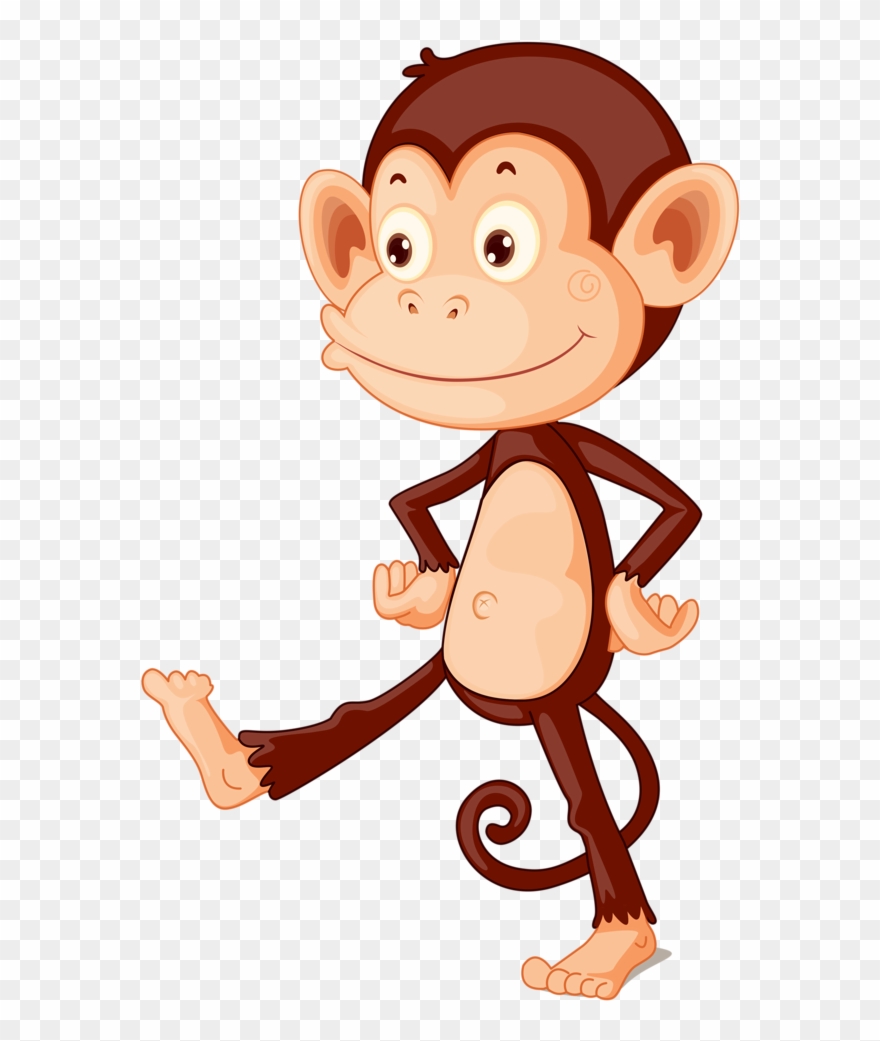 Monkeys ‿t✿p⁀ Clipart