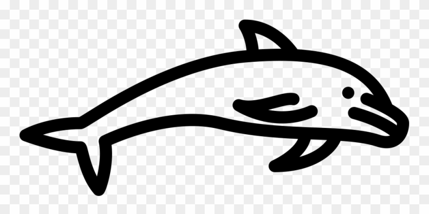 Dolphin Jumping Comments Clipart