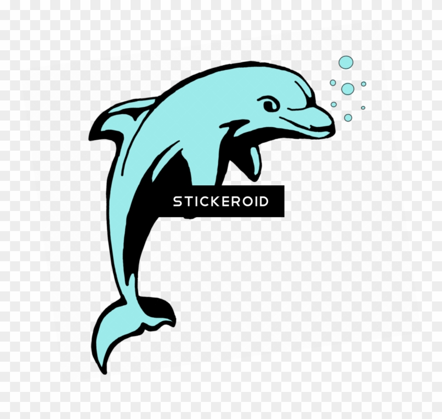 Dolphin Clipart
