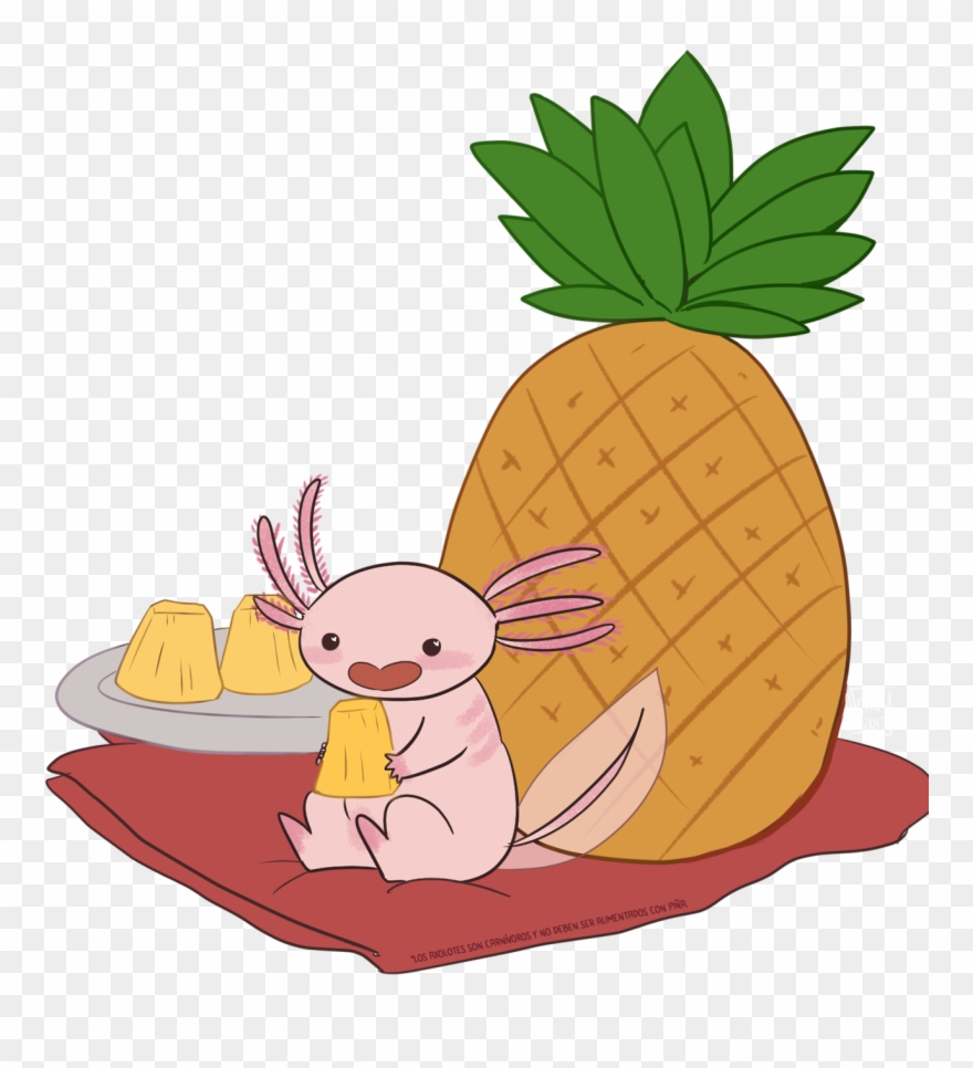 Pineapple Clipart Png Transparent Png