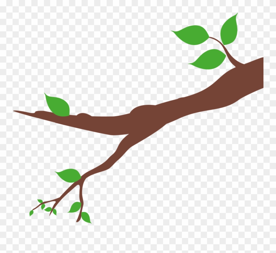Tree 1 Tree 3 Clipart