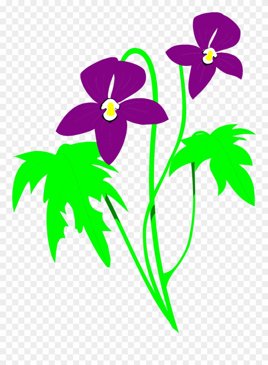 Clip Art Illustration Of A Purple And Pink Birthday - Png Download