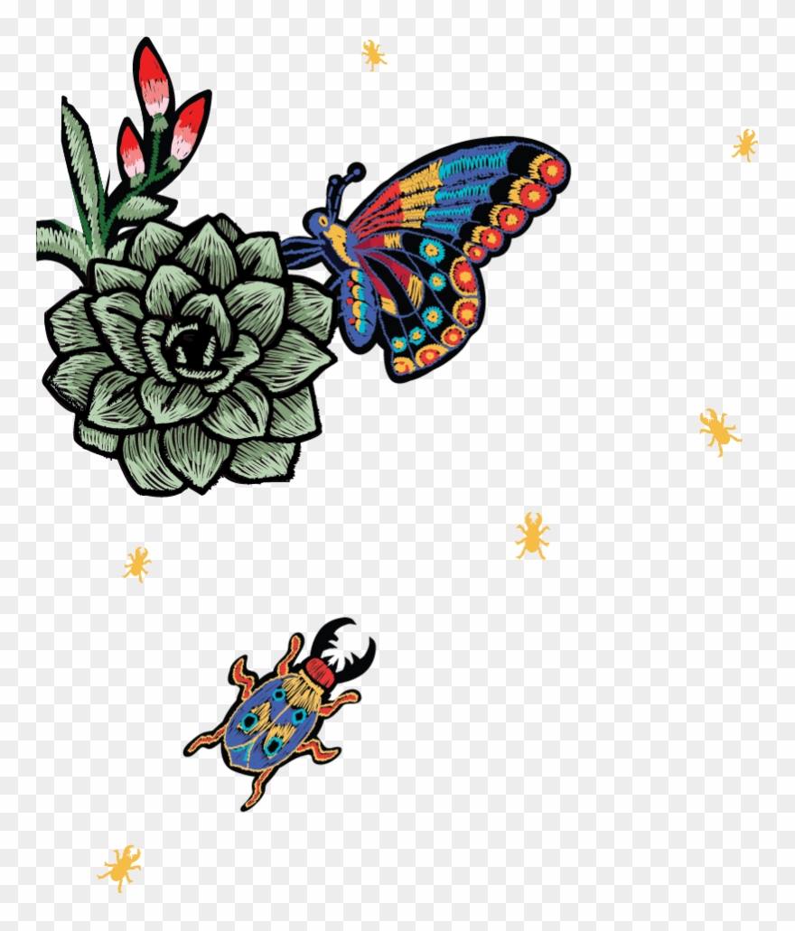 Butterfly - Bugs-desktop Clipart