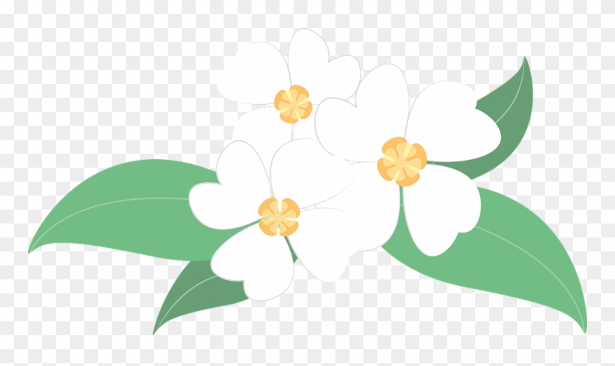 White Flower Clipart Bunga - Png Download