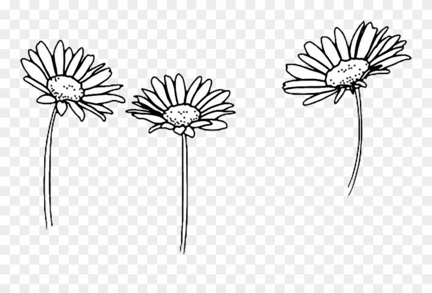 Amazing Flower Tumblr Castrophotos Clipart