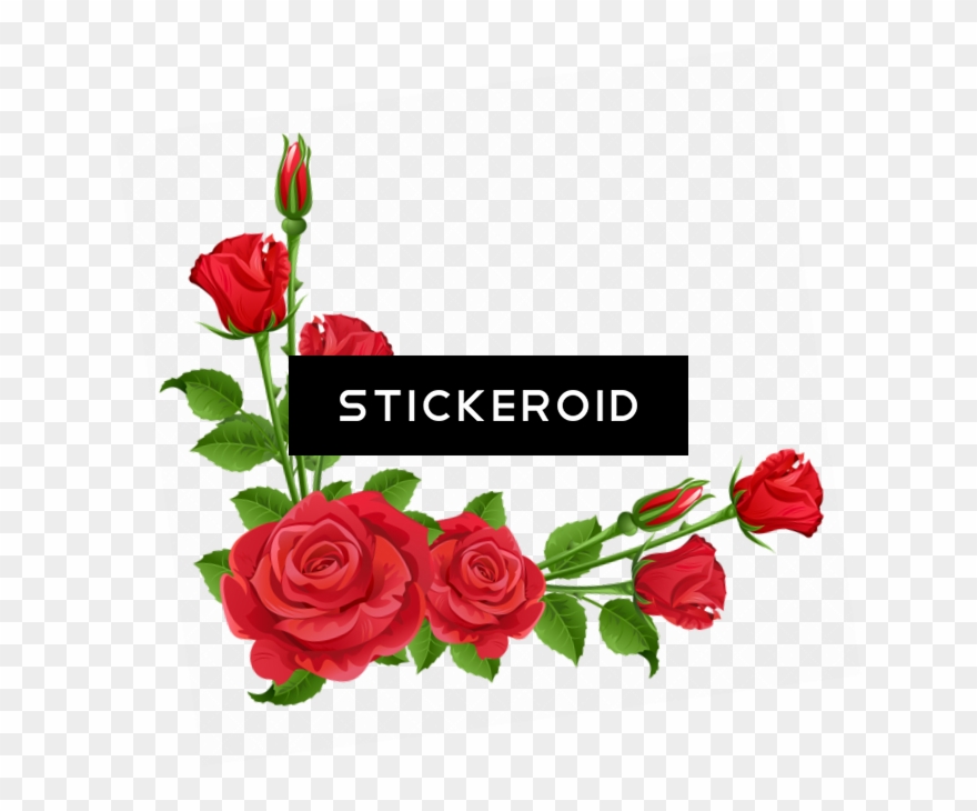 Red Flower Frame Border Frames Clipart