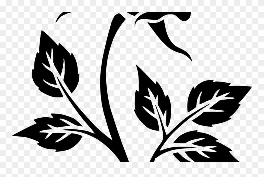 Clipart Rose Silhouette - Png Download