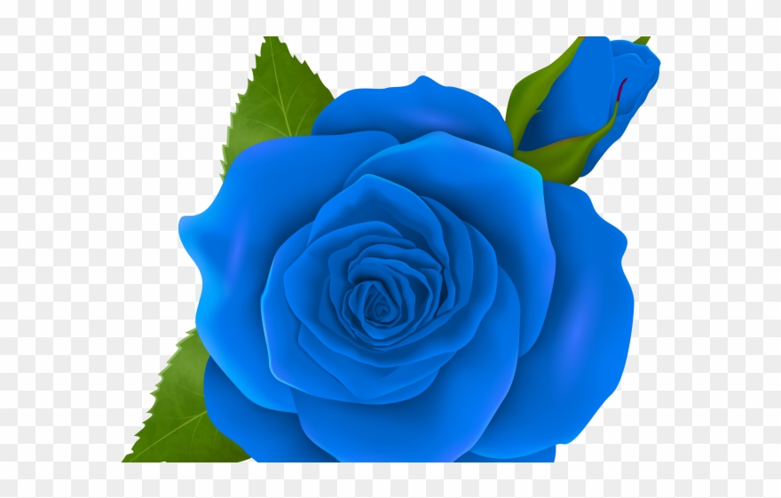 Rose Bush Clipart File - Png Download