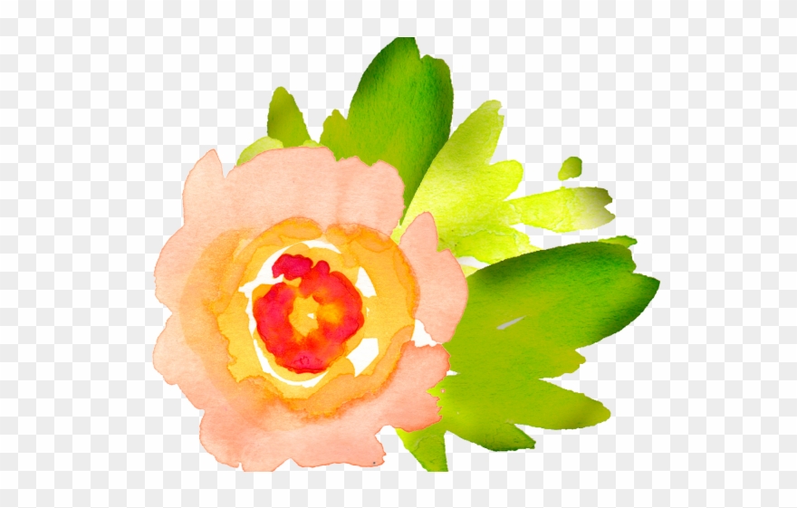 Orange Flower Clipart Individual Flower - Png Download