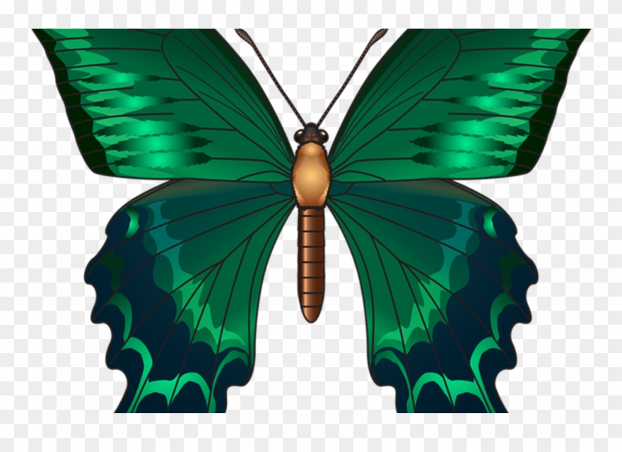 Green Butterfly Png Clip Art Image Butterfly's Pinterest Transparent Png