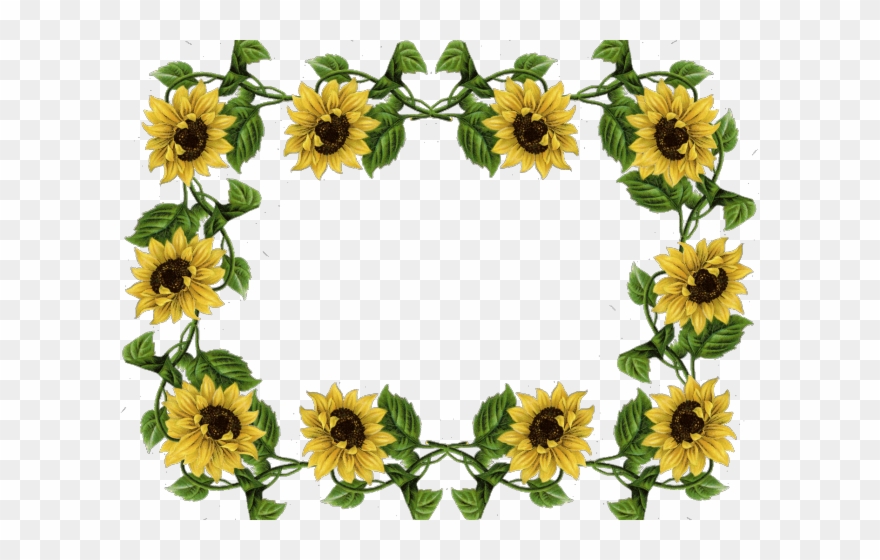 Sunflower Clipart Yellow Sunflower - Png Download