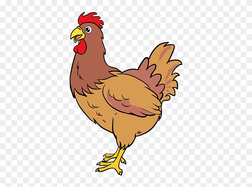 Brahma Chicken Drawing Rooster Meat Ⓒ Clipart