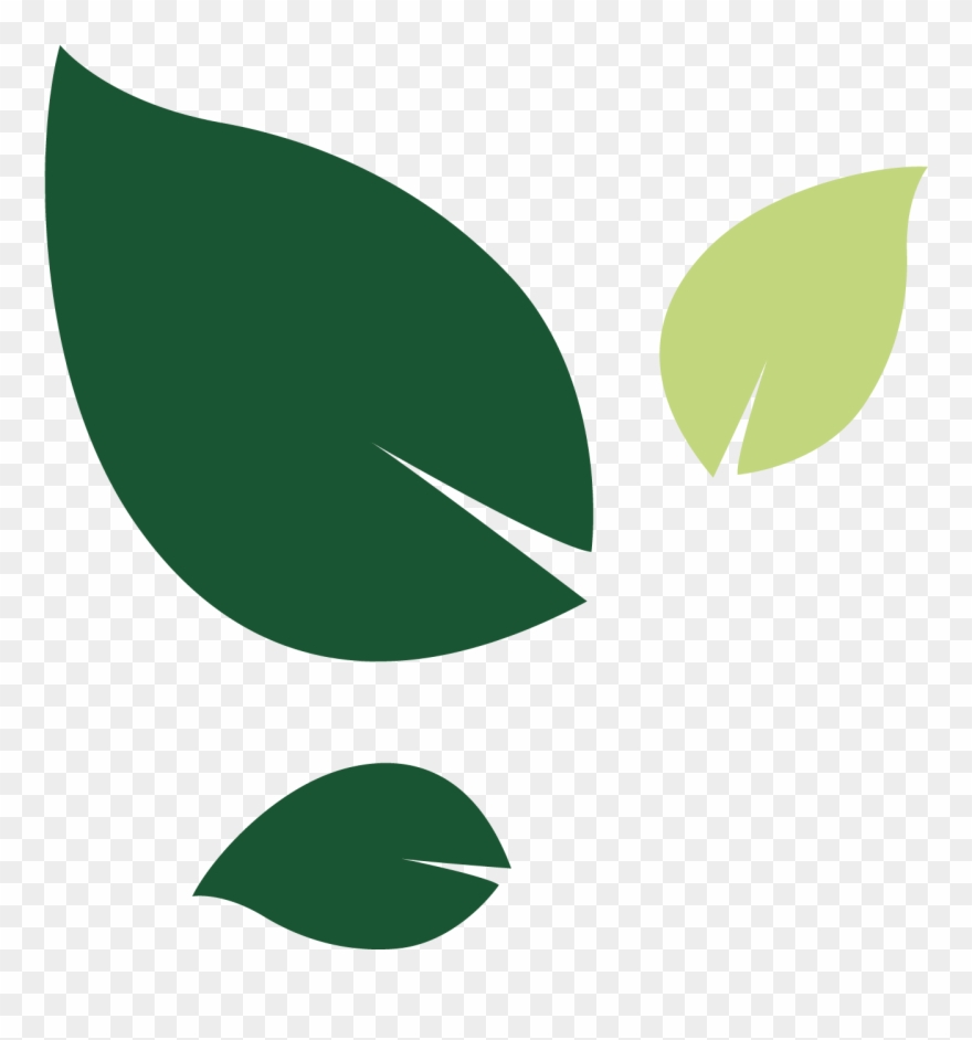 Bramley Care Leaves Left Clipart