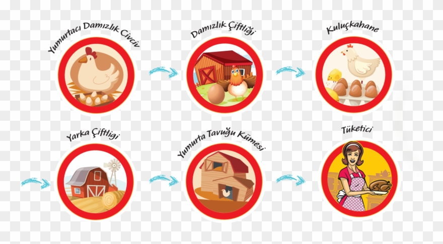 Yumurta, Insan Beslenmesinde Yer Alan En Mükemmel Gıdalardan Clipart