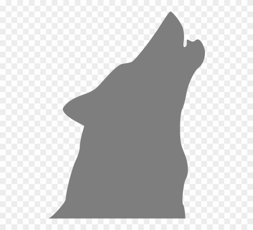 Gray Wolf Clipart Wolf Logo - Png Download