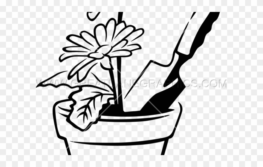 Pot Plant Clipart Drawn - Png Download