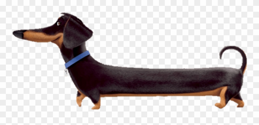 Free Png Download Buddy Full Length Clipart Png Photo Transparent Png