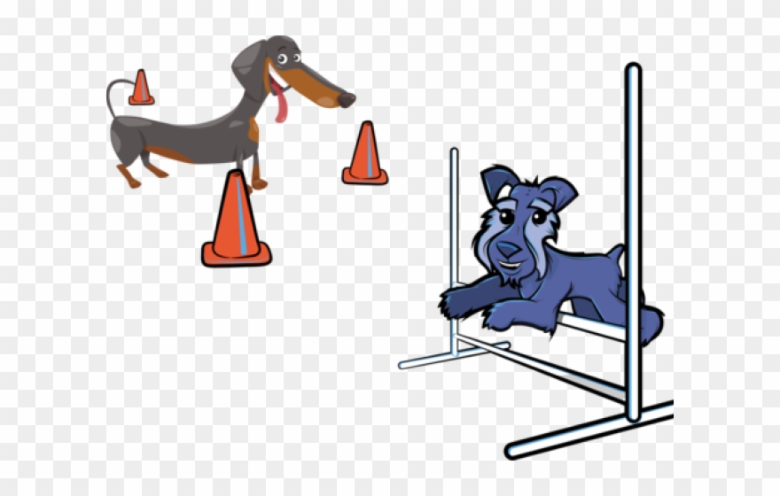 Beagle Clipart Agility Dog - Png Download