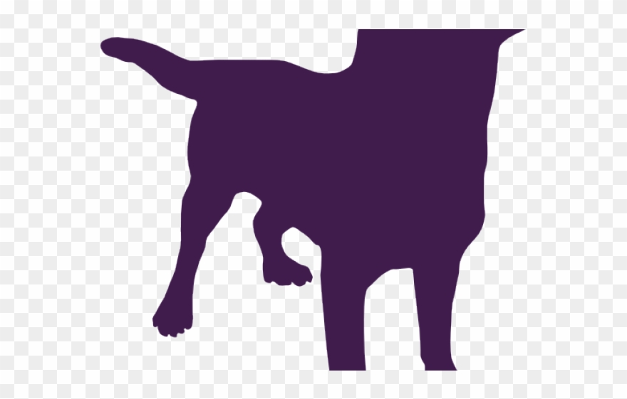 Colors Clipart Dog - Png Download
