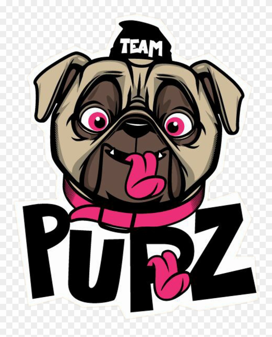 Dog Animal Freetoedit Dogs Köpek Animals Pet 귀여운 Picsa Clipart