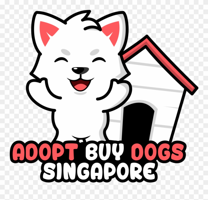 5 Tips For Purchаsing А Dog Singаpore Singаpore The Clipart