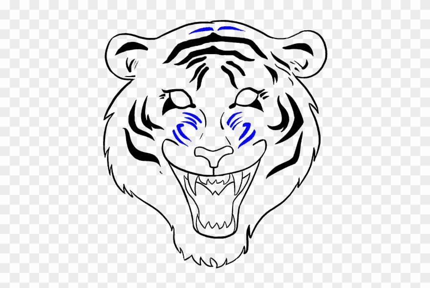 How To Draw Tiger Face Clipart