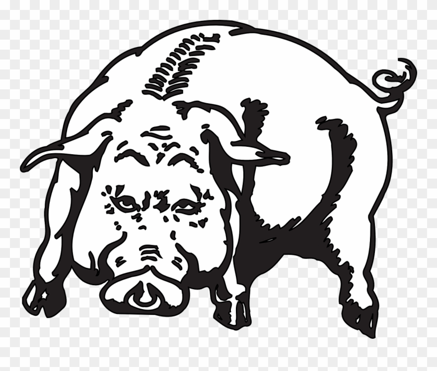 Vector Graphics, Clipart