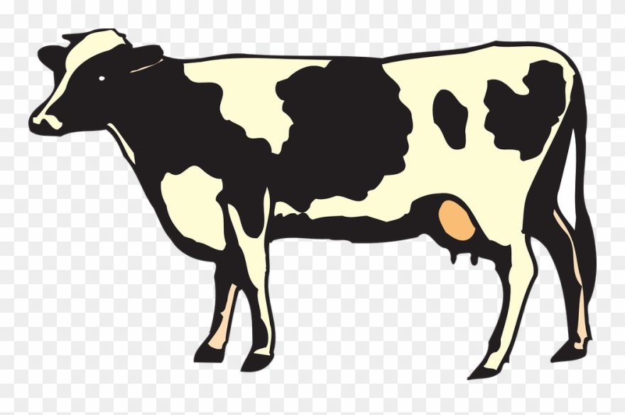 Clipart Of Livestock, Cow To And Cow A - Png Download