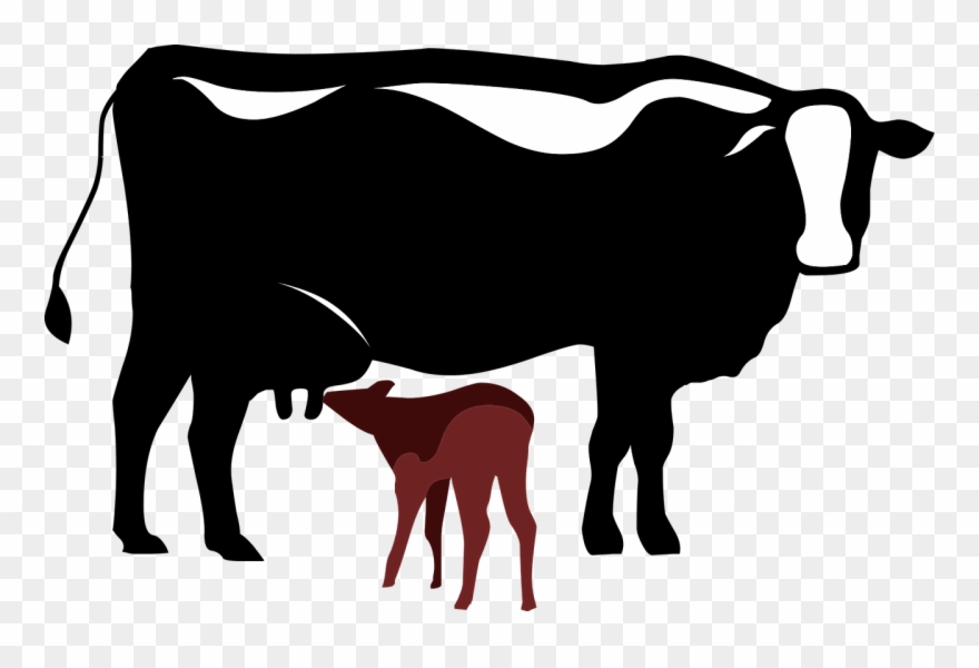 Vector Graphics,free Pictures, Free Clipart