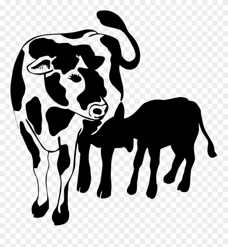 Info Clipart