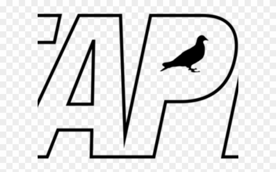 Pidgeons Clipart Pigeon Line - Png Download