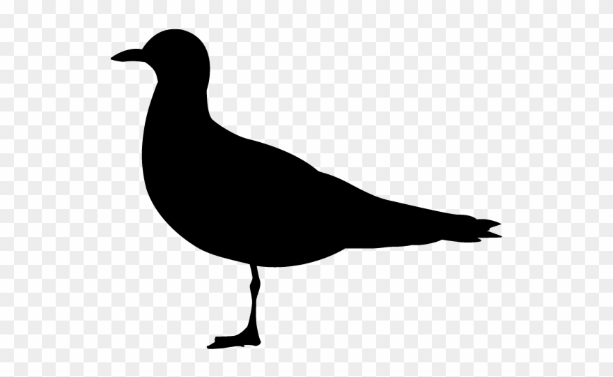 Pigeon - Silhouette - Animals Illustration Clipart
