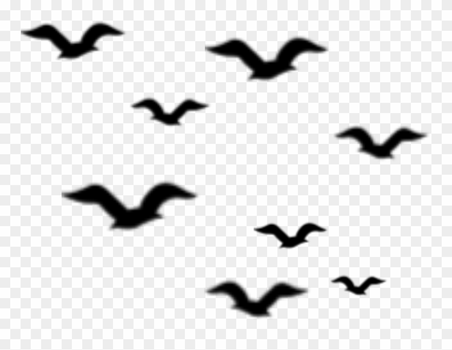 Ftestickers Birds Silhouette Flock Bird Clipart