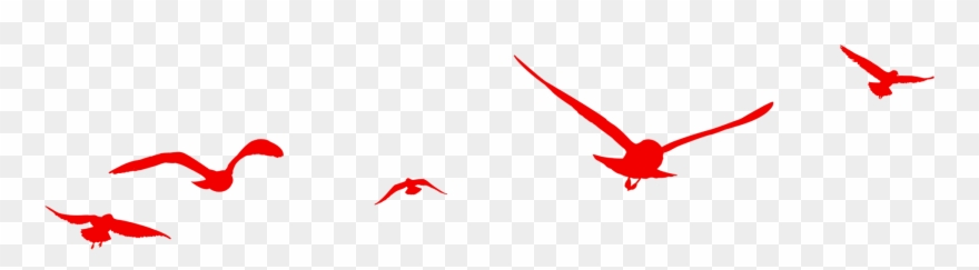 Birds Flying Transprent Png Free Clipart